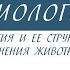 7 класс Биология Наука зоология и её структура Методы изучения животных