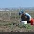 Why Moldova S Gagauzia Matters To Russia And Turkey