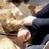 The Bigger The Dog The Bigger The Baby Foryou Love Dog Dogs Doglove Fyp