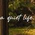 A Comfort Playlist For A Quiet Moment