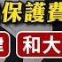 川普要戳破泡沫 台積電繳保護費 亞光 美律 和大 華城 所羅門 上銀 高鋒 慧洋 2025 03 04 藍登耀 分析師 金融鬼谷子