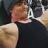 David Laid Aesthetic Workout