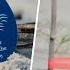 Sea Turtle Nest In Hilton Head Dedicated To Craig Melvin S Family