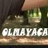 Baba Veziroglu MƏNDƏN BİR DƏ OLMAYACAQ Şiiri Seslendiren Qalibe Ceferova