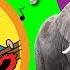 Learn About Wild Animals Song For Kids Sing Along With Matt