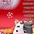 牛年大吉 牛牛牛 幼儿手指舞 新年快乐