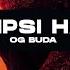 OG BUDA LIPSI HA ремикс