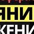 Влияние окружения на человека Бодо Шефер Закон финансового успеха 3 Важность окружения человека