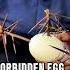 The Forbidden Thorn Egg Ritual A Strange Chinese Tradition