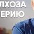 История успеха Потомственный фермер построил БИЗНЕС ИМПЕРИЮ Династия Шруб