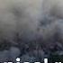 Is The Amazon Transitioning From Tropical Forest To Dry Savanna DW News