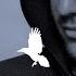 Winterreise D911 Wasserflut