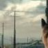 Fallout 4 The Wanderer Live Action Trailer