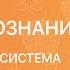 Обществознание 9 класс Общество как система