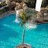 Sheraton Vistana Villages FULL RESORT TOUR International Drive Orlando