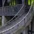 The Abandoned Treehouse Mansion Worth Millions Exploring The Richest Family S Home In UK