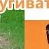 Отпугиватель собак Ультразвуковой отпугиватель собак Dog Repeller Ultrasonic Dog Deterrent 7