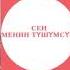 ЖАНЫ ЫР 2017 ТАЛАНТ 60 К АЙЯ САДЫРОВА СЕН МЕНИН ТУШУМСУН