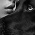 ARASH Timberlake ADAM Akon Massari Dooset Daram Stereo Love ZHUREK Na Na Na Real Love