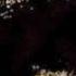 Lauryn Hill Selah HQ
