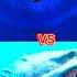El Gran Maja Vs Megalodon Mosasaurus Giant Moray Eel Blue Whale Shorts Viral Monster The