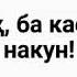 Бовар макун 19 01 1999