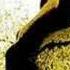 Jackson Browne Here Come Those Tears Again Country Version