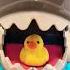 Swallowing Duckling Asmr Viral Shortvideo Fun Satisfying Amazing Trending Subscribe Shorts