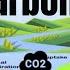 The Carbon Cycle Process