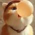 Why Do Cats Hate Balloons So Much