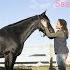 Free REIN Empire Song