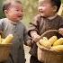 A Carefree Childhood Full Of Memories