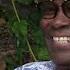 Reggae Interviews Dandy Livingstone Rudy A Message To You