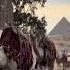 Camel Ride With Ankora Tours