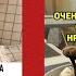 Позитив на максимум Эти мемы заряжают энергией на весь день смешные картинки приколы котики