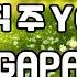 큰글 10번 반복 AGAPAO 오직 주 YOU