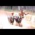 Venuru Kambala Top Race VMGNP Kambala Top Race Venur Moodukodi Kambala Shorts