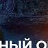 Путин Трамп и конец войны в Украине о чем договорились