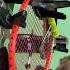 APACS FINAPI 232 REBORN Badminton Badmintolovers Apacs Yonex String
