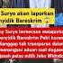 Roy Suro Akan Melaporkan Penyidik Bareskrim Shorts