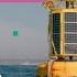 Ocean Buoys Microscopic Plankton And Speed Boats 101 Jobs S3 Ep 5