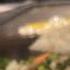 Rellik Kcart Is Live Hibachigrill Fyp