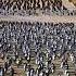 Battle Of HATTIN 1187 Crusaders Last Stand