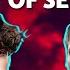 SERRAL Vs CLEM Best Of 7 Semi Finals PiGFest 6 0 StarCraft 2