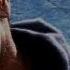 The Purge Anarchy Theatrical Trailer Official HD
