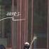 Zhao Jinmai Back To Beijing X Dragon Boat Festival Zhaojinmai จ าวจ นม าย 赵今麦 Cdrama Beauty