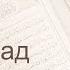 Коран Сура 38 Сад Буква Сад русский Мишари Рашид Аль Афаси