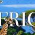 Africa 4K Scenic Wildlife Film Beautiful Piano Music Travel Nature