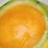 Summer Special Fruit Basket Song Music Entertainment Love Duet