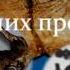 Письменность наших предков Фрагмент Тайны круглых озер часть3